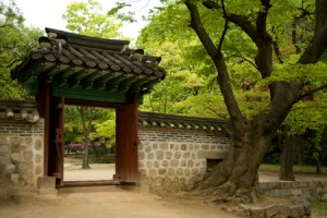 Four Seasons of Seoul - Spring