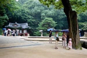 Four Seasons of Seoul - Summer