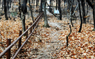 ソウルの主な山をつなぐ２００キロ徒歩旅行コースを造成