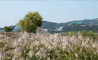 ソウル市、漢江公園「秋のスポットbest3」を発表