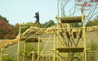 ソウル動物園、世界で最も高い「チンパンジージャングルタワー」を公開