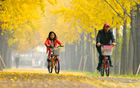 ソウル市、「今年、紅葉がきれいな道」80ヶ所を選ぶ