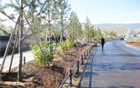 ソウル市、モンゴルのウランバートルにおいて「ソウルの森」の造園を完了
