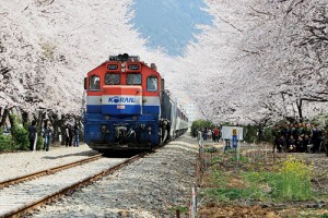 春の花テーマ観光列車